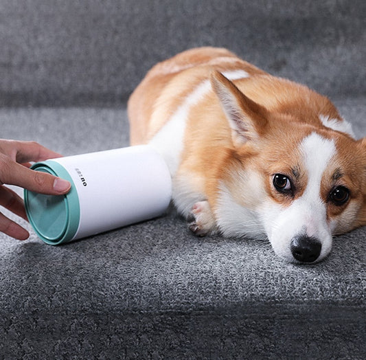 AUFYX Portable Pet Paw Cleaner Cup Soft Silicone Comb