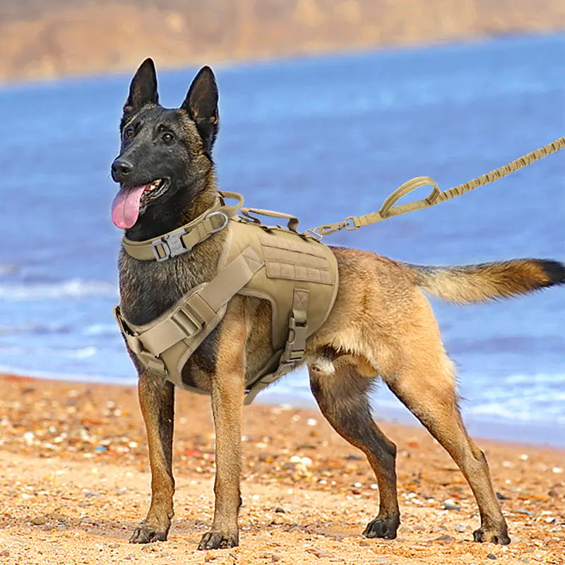سترة صدرية من Tactics K9 للكلاب