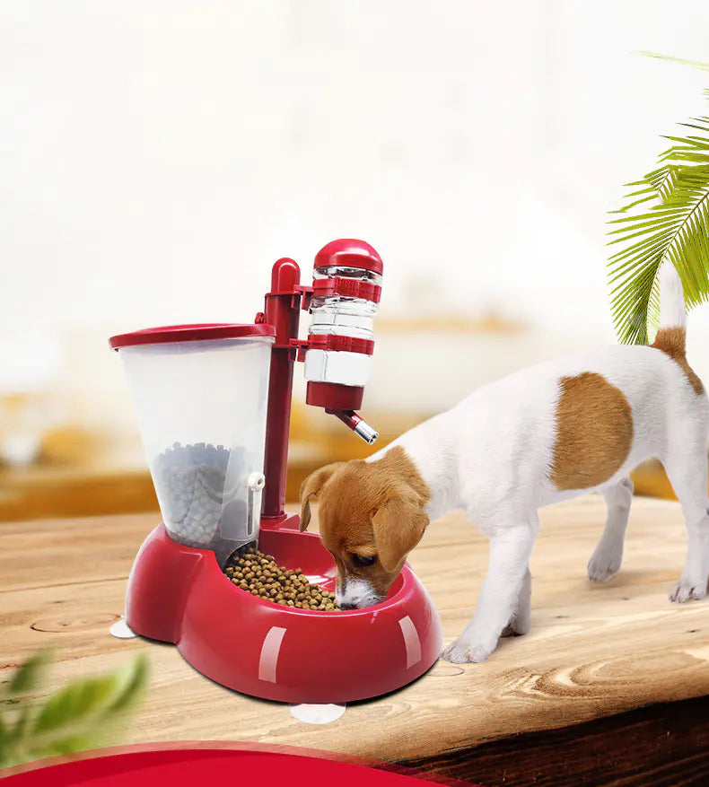 Distributeur automatique d'eau et de nourriture pour chiens