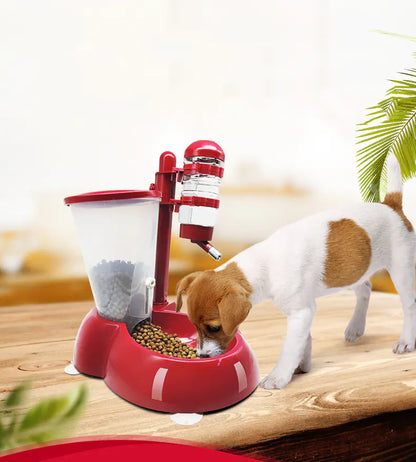 Distributeur automatique d'eau et de nourriture pour chiens