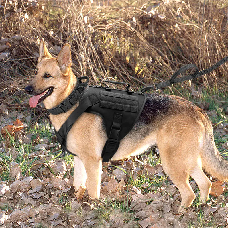 سترة صدرية من Tactics K9 للكلاب